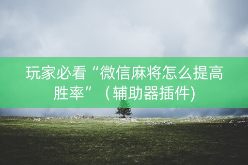 玩家必看“微信麻将怎么提高胜率”（辅助器插件)