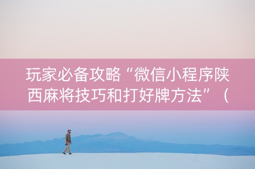 玩家必备攻略“微信小程序陕西麻将技巧和打好牌方法”（插件开挂免费AI)