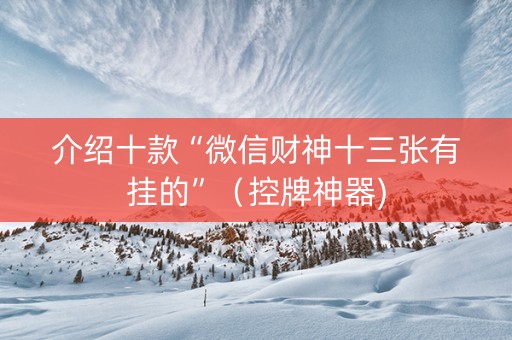 介绍十款“微信财神十三张有挂的”（控牌神器)
