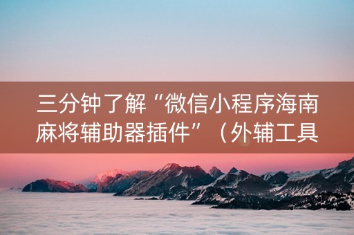 三分钟了解“微信小程序海南麻将辅助器插件”（外辅工具)