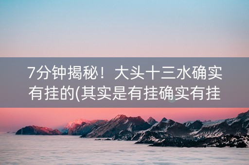 7分钟揭秘！大头十三水确实有挂的(其实是有挂确实有挂)
