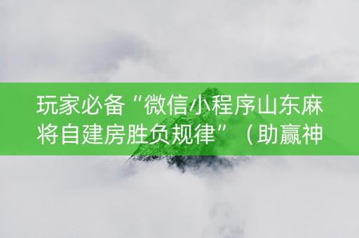 玩家必备“微信小程序山东麻将自建房胜负规律”（助赢神器)