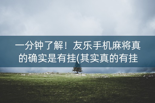 一分钟了解！友乐手机麻将真的确实是有挂(其实真的有挂)