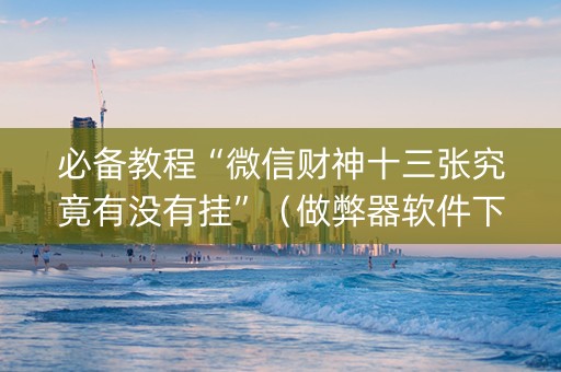 必备教程“微信财神十三张究竟有没有挂”（做弊器软件下载)