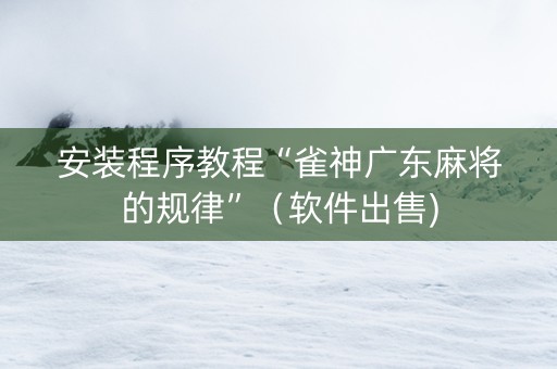 安装程序教程“雀神广东麻将的规律”（软件出售)