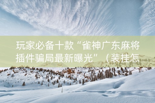 玩家必备十款“雀神广东麻将插件骗局最新曝光”（装挂怎么安装)