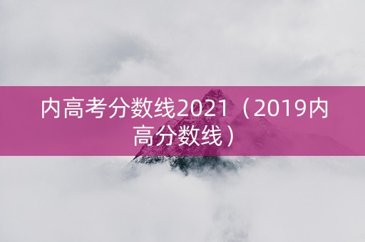 内高考分数线2021（2019内高分数线）