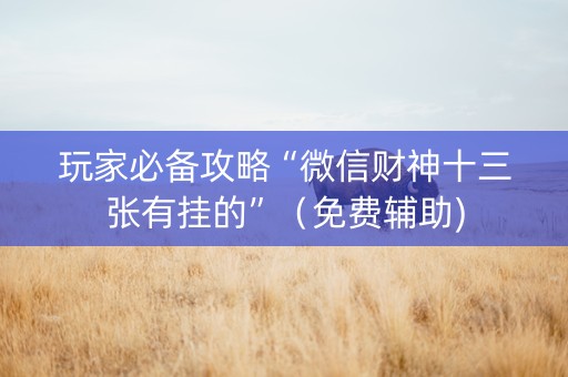 玩家必备攻略“微信财神十三张有挂的”（免费辅助)