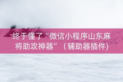 终于懂了“微信小程序山东麻将助攻神器”（辅助器插件)