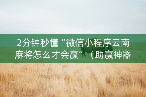 2分钟秒懂“微信小程序云南麻将怎么才会赢”（助赢神器购买)