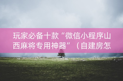 玩家必备十款“微信小程序山西麻将专用神器”（自建房怎么赢)