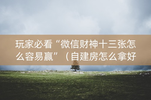 玩家必看“微信财神十三张怎么容易赢”（自建房怎么拿好牌)