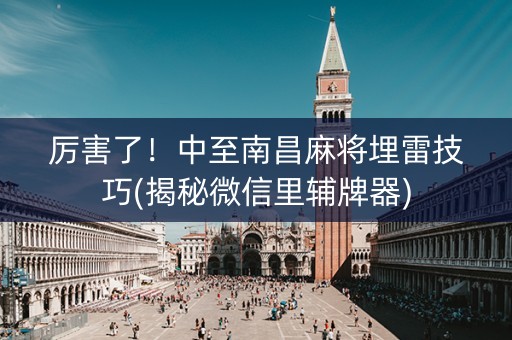 厉害了！中至南昌麻将埋雷技巧(揭秘微信里辅牌器)