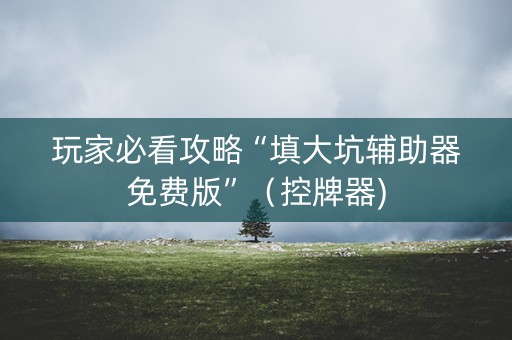 玩家必看攻略“填大坑辅助器免费版”（控牌器)