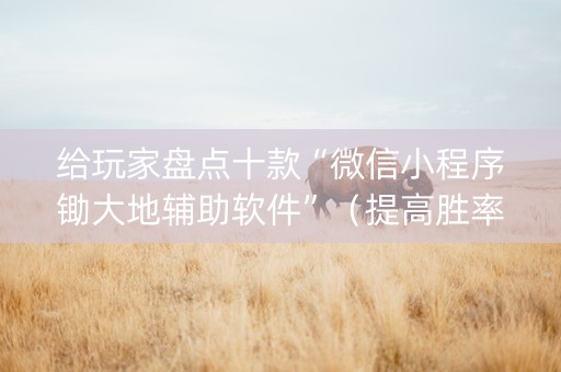 给玩家盘点十款“微信小程序锄大地辅助软件”（提高胜率软件)