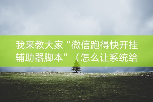 我来教大家“微信跑得快开挂辅助器脚本”（怎么让系统给自己好牌)