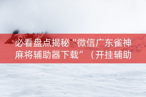 必看盘点揭秘“微信广东雀神麻将辅助器下载”（开挂辅助插件)