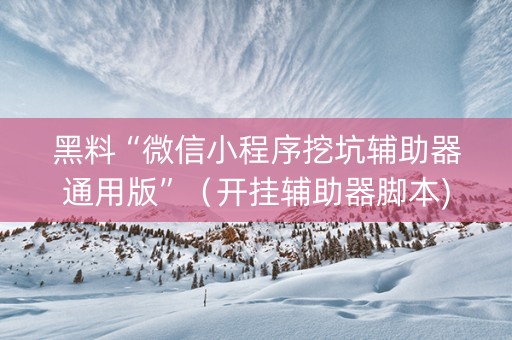 黑料“微信小程序挖坑辅助器通用版”（开挂辅助器脚本)
