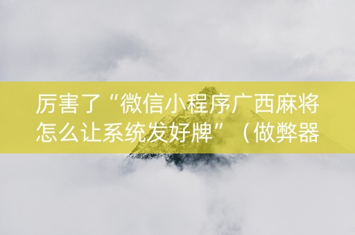 厉害了“微信小程序广西麻将怎么让系统发好牌”（做弊器软件下载)