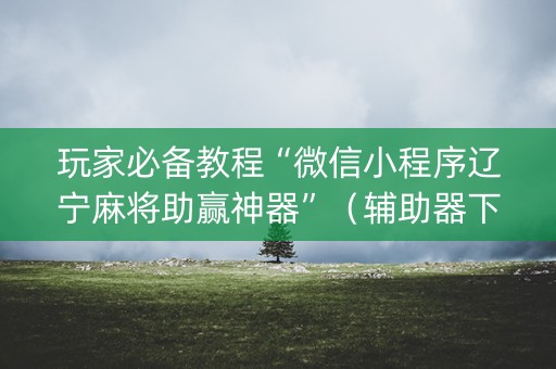 玩家必备教程“微信小程序辽宁麻将助赢神器”（辅助器下载)