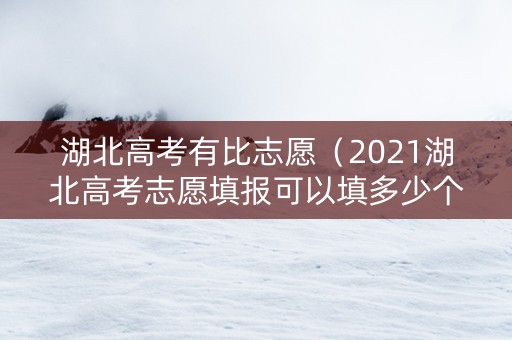 湖北高考有比志愿（2021湖北高考志愿填报可以填多少个志愿）