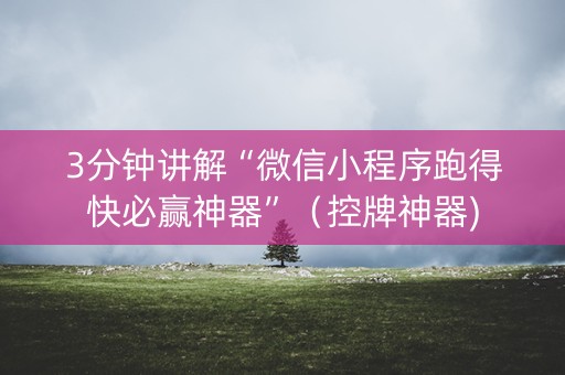 3分钟讲解“微信小程序跑得快必赢神器”（控牌神器)