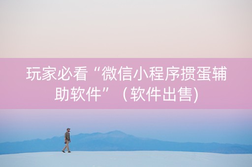玩家必看“微信小程序掼蛋辅助软件”（软件出售)