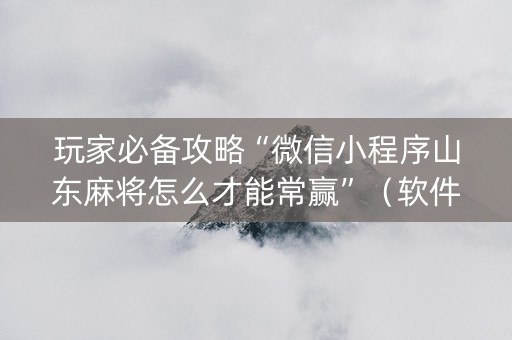 玩家必备攻略“微信小程序山东麻将怎么才能常赢”（软件出售)