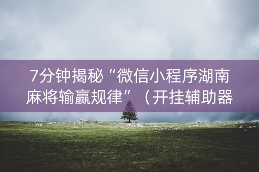 7分钟揭秘“微信小程序湖南麻将输赢规律”（开挂辅助器插件)