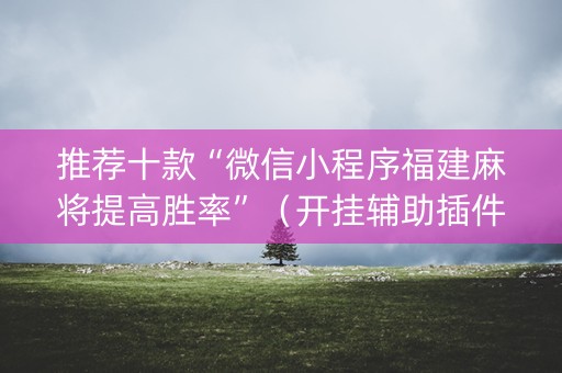 推荐十款“微信小程序福建麻将提高胜率”（开挂辅助插件)