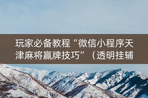 玩家必备教程“微信小程序天津麻将赢牌技巧”（透明挂辅助器)