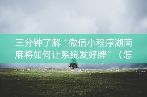 三分钟了解“微信小程序湖南麻将如何让系统发好牌”（怎么让系统给你发好牌)