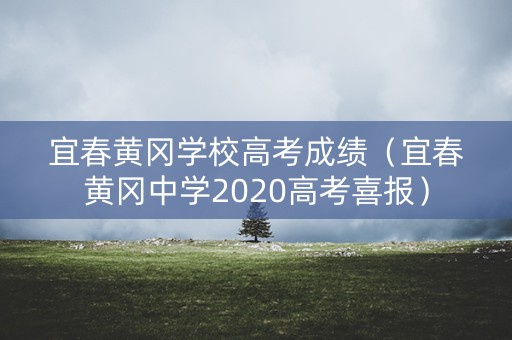 宜春黄冈学校高考成绩（宜春黄冈中学2020高考喜报）