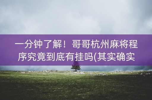 一分钟了解！哥哥杭州麻将程序究竟到底有挂吗(其实确实有挂)