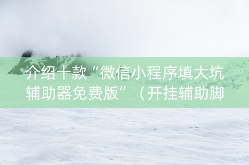 介绍十款“微信小程序填大坑辅助器免费版”（开挂辅助脚本)