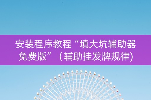 安装程序教程“填大坑辅助器免费版”（辅助挂发牌规律)