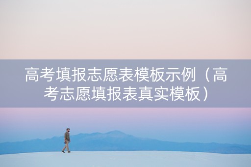 高考填报志愿表模板示例（高考志愿填报表真实模板）