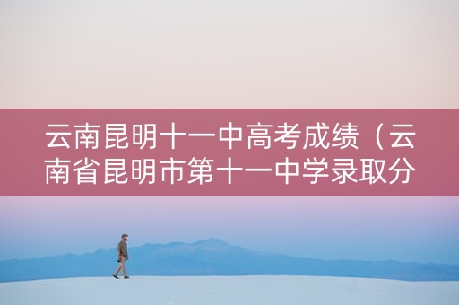 云南昆明十一中高考成绩（云南省昆明市第十一中学录取分数线）
