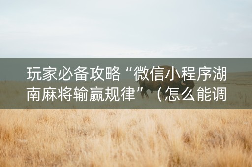玩家必备攻略“微信小程序湖南麻将输赢规律”（怎么能调好牌)