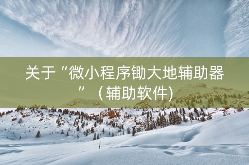 关于“微小程序锄大地辅助器”（辅助软件)