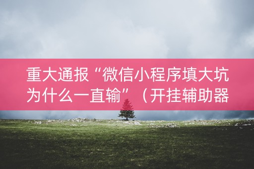 重大通报“微信小程序填大坑为什么一直输”（开挂辅助器脚本)
