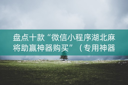 盘点十款“微信小程序湖北麻将助赢神器购买”（专用神器)