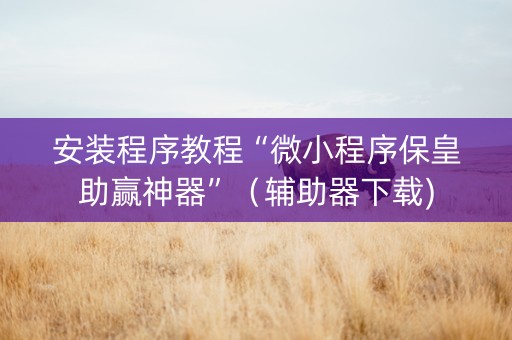 安装程序教程“微小程序保皇助赢神器”（辅助器下载)