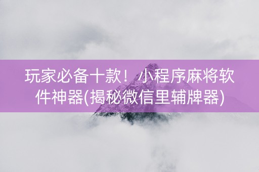 玩家必备十款！小程序麻将软件神器(揭秘微信里辅牌器)