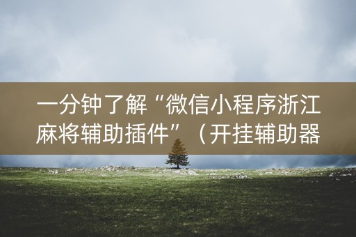一分钟了解“微信小程序浙江麻将辅助插件”（开挂辅助器插件)