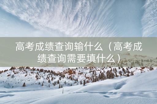 高考成绩查询输什么（高考成绩查询需要填什么）