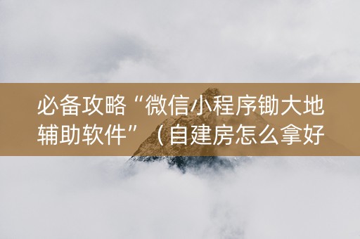 必备攻略“微信小程序锄大地辅助软件”（自建房怎么拿好牌)