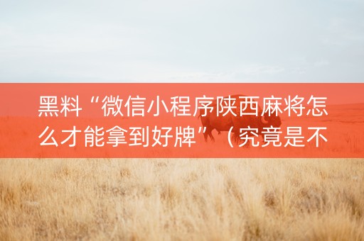 黑料“微信小程序陕西麻将怎么才能拿到好牌”（究竟是不是有挂)