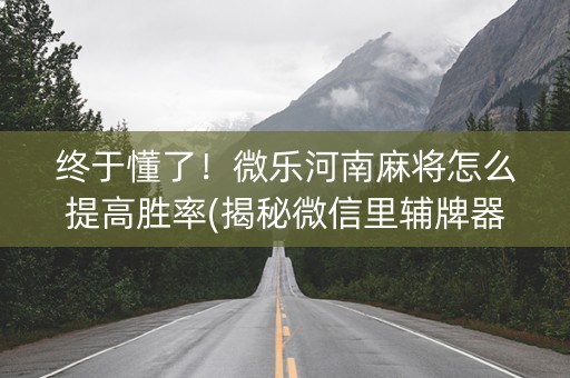 终于懂了！微乐河南麻将怎么提高胜率(揭秘微信里辅牌器)