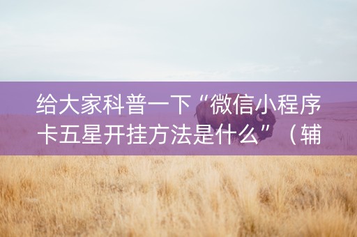 给大家科普一下“微信小程序卡五星开挂方法是什么”（辅助器通用版)